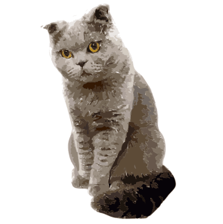 Chord Sight Reading 2